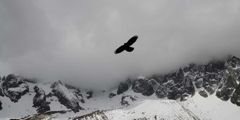 从车间到云端:昆山华丰电子产业如何借跨境电商重塑全球精密加工竞争力