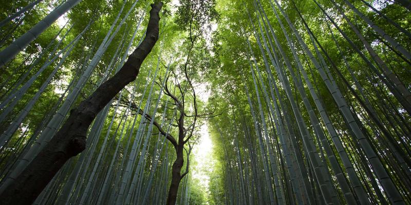 精密制造企业必看:昆山华丰科技园区入驻优惠政策深度解析与工业解决方案机遇